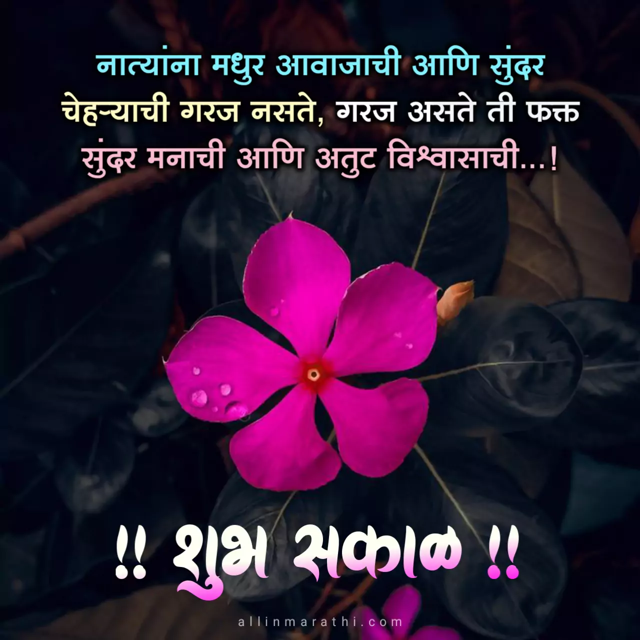 शुभ सकाळ फुले फोटो